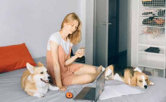 GluNEO Pet Product Registration Page Hero Image
