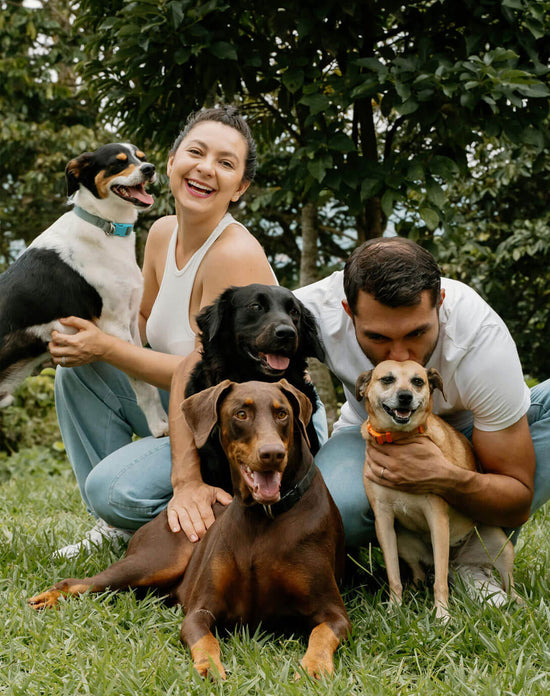 GluNEO Pet Product Registration Page Hero Image